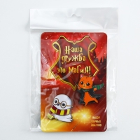 Значки деревянные, неразлучники &laquo;Наша дружба это магия&raquo;, 2 шт., 8 х 12 см.