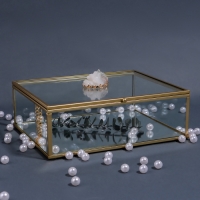 Органайзер для хранения &laquo;MOUNTAINS&raquo;, с крышкой, стеклянный, с зеркальным дном, 1 секция, 20 &times; 16 &times; 6,5 см, цвет прозрачный/медный