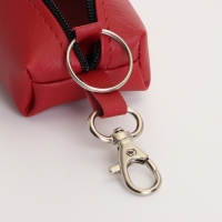 Ключница на молнии, длина 16 см, кольцо, карабин, цвет красный