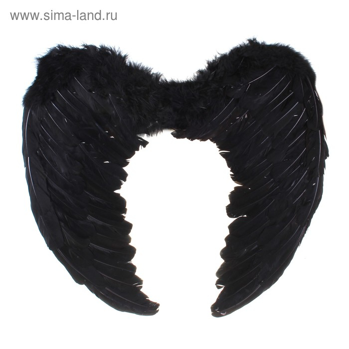 Крылья ангела, 55&times;40, чёрные