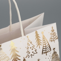 Пакет подарочный новогодний крафтовый &laquo;Новогодняя пора&raquo;, 22 х 25 х 12 см, Новый год