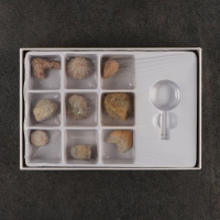 Набор "Аммониты" Набор "Аммониты"