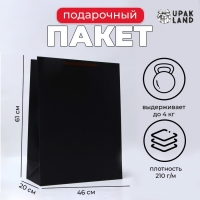 Пакет ламинированный вертикальный "Черный", XXL  46 х 61 х 20 см