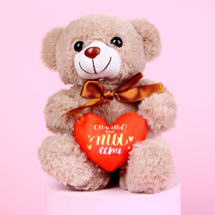 Мягкая игрушка &laquo;Спасибо, что ты есть&raquo;, 22 см., МИКС