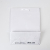 Пакет подарочный ламинированный, упаковка, &laquo;Белый&raquo;, MS 18 х 23 х 8 см