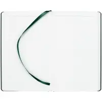 Ежедневник Grade, недатированный, зеленый Ежедневник Grade, недатированный, зеленый