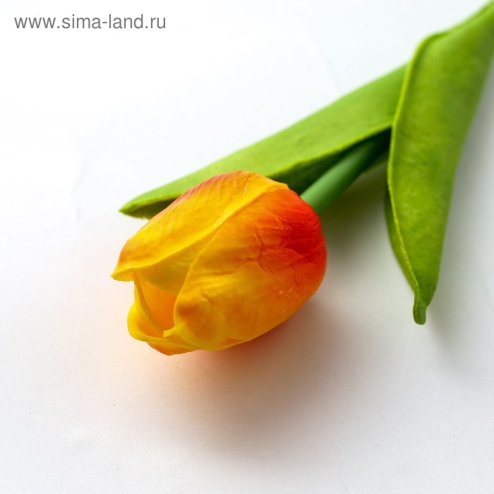 Ручка прикол шариковая синяя паста «Тюльпан» подарочная на 8 марта МИКС Ручка прикол шариковая синяя паста «Тюльпан» подарочная на 8 марта МИКС