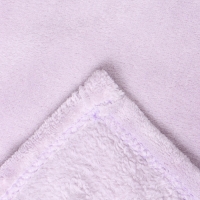 Плед Этель цв.сиреневый 150*200 см,100% п/э, корал-флис 220 гр/м2 Плед Этель цв.сиреневый 150*200 см,100% п/э, корал-флис 220 гр/м2