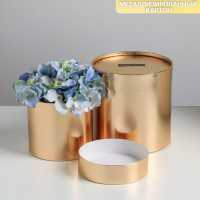 Набор золотых шляпных коробок 2 в 1, упаковка подарочная, &laquo;Поздравляю&raquo;, 12 х 12, 15 х 15 см