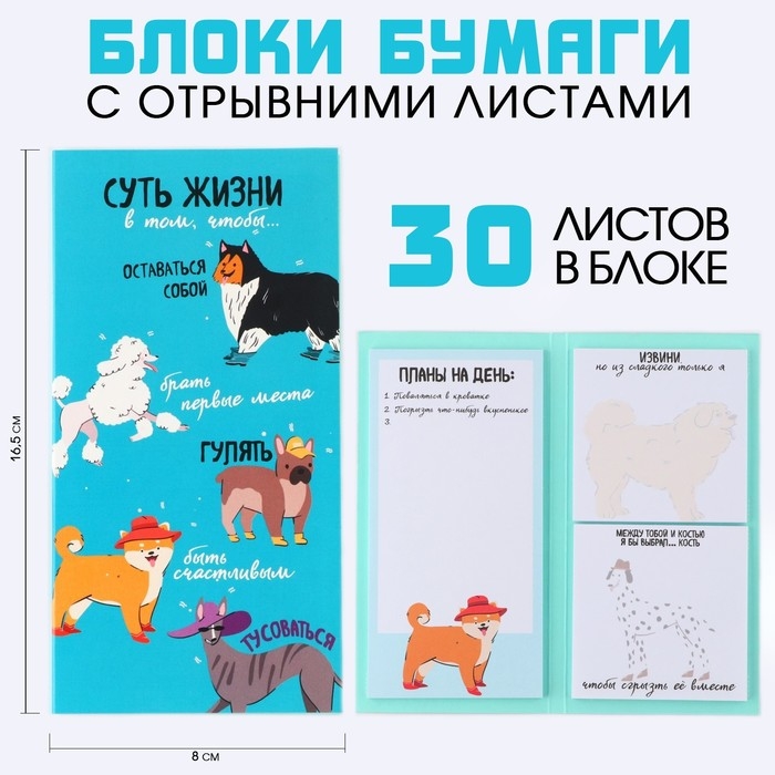 Блоки бумаги с отрывными листами &laquo;Суть жизни&raquo;