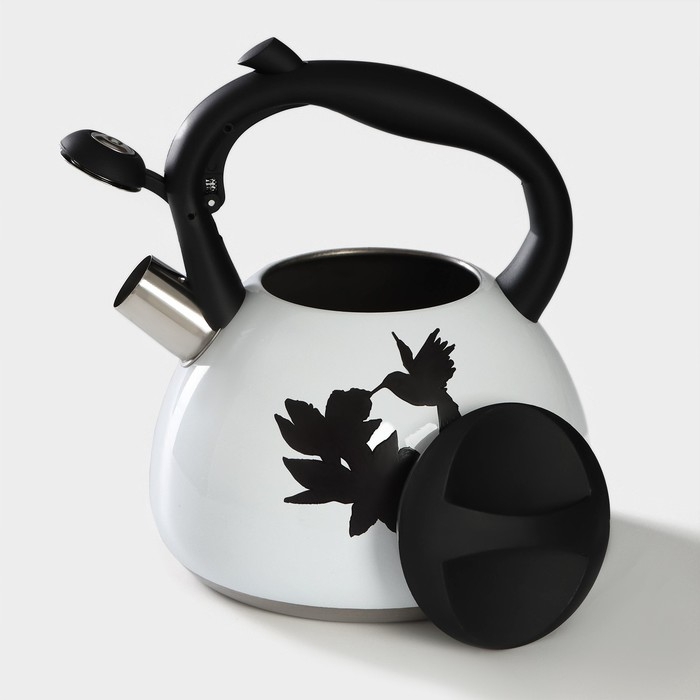 Чайник со свистком из нержавеющей стали Доляна &laquo;Колибри&raquo;, 3 л, с индикатором нагрева