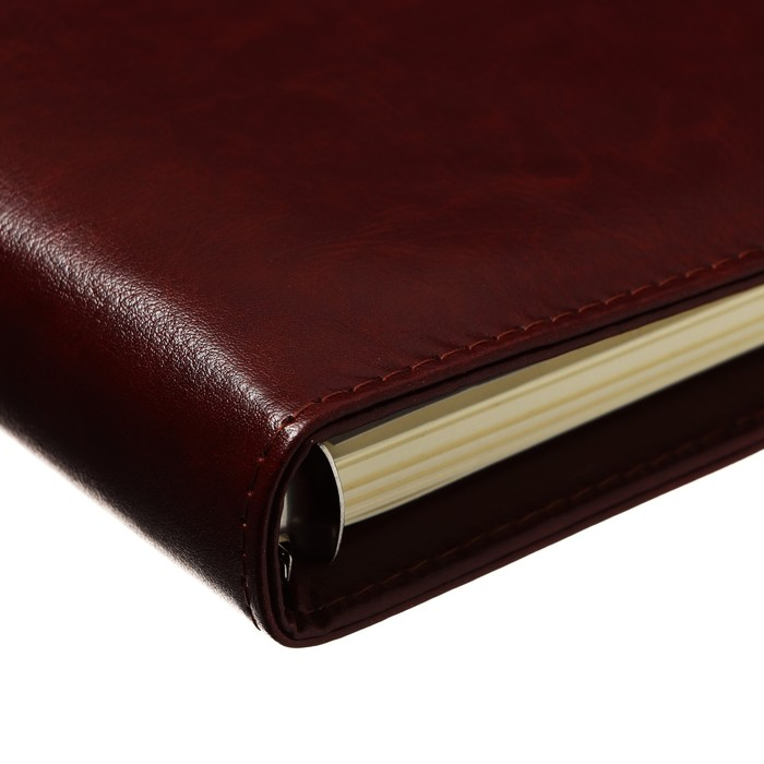 Органайзер на кольцах Органайзер на кольцах "Классика" А5, 96 листов в линейку с ремешком, МИКС