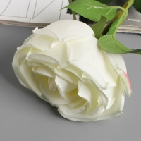Цветы искусственные "Роза Вивальди" d-7 50 см, белый Цветы искусственные "Роза Вивальди" d-7 50 см, белый