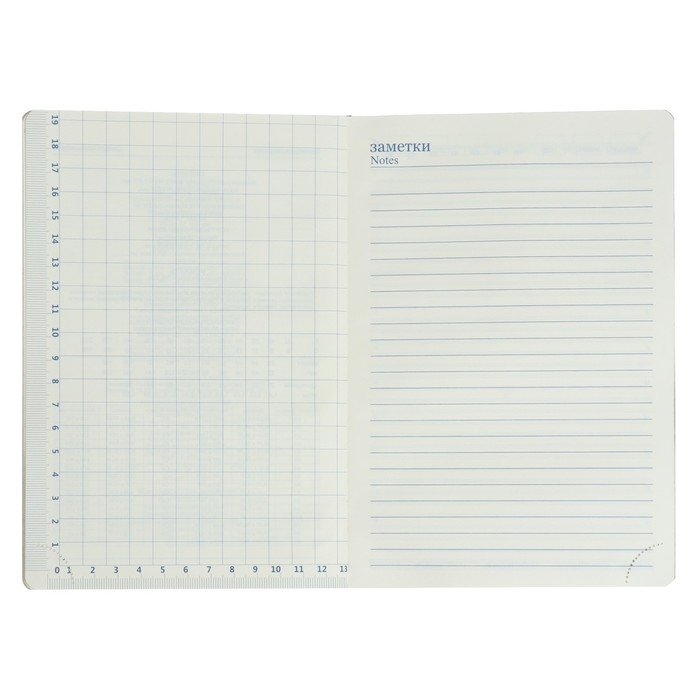 Ежедневник недатированный А5, 140 листов в клетку, с калькулятором, с хлястиком, обложка кожзам, МИКС