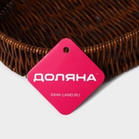 Корзинка для подачи Доляна &laquo;Огайо&raquo;, 31&times;21&times;5 см, овальная, цвет коричневый