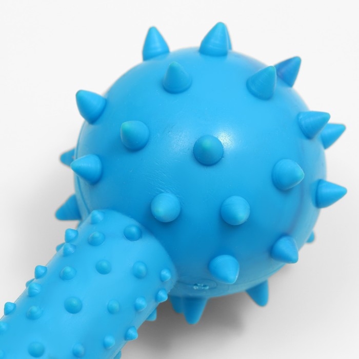 Игрушка жевательная Игрушка жевательная "Грозная гантель", 15 х 5 см, синяя