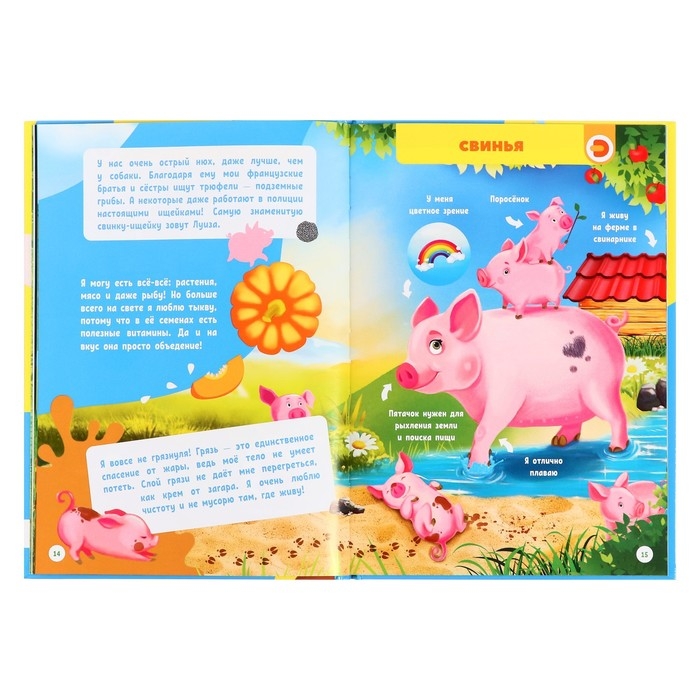 Моя первая энциклопедия &laquo;Домашние животные&raquo;, твёрдый переплёт, 48 стр.