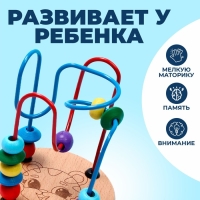 Серпантинка-лабиринт &laquo;Тигрёнок&raquo; 12 &times; 8,7 &times; 1 см