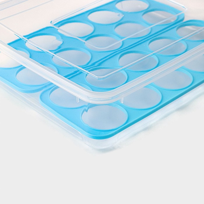 Контейнер для хранения яиц Доляна, 20 ячеек, 27,5×22×7 см, цвет МИКС Контейнер для хранения яиц Доляна, 20 ячеек, 27,5×22×7 см, цвет МИКС