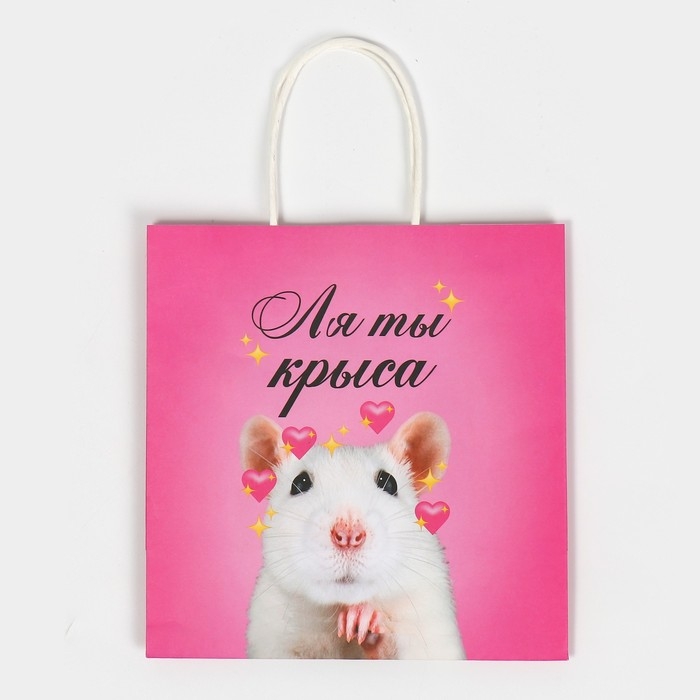Пакет подарочный, упаковка, &laquo;Ля ты&raquo;, 22 х 22 х 11 см