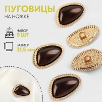 Набор металлических пуговиц на ножке, d = 21,5 мм, 5 шт, цвет кофейный/золотой Набор металлических пуговиц на ножке, d = 21,5 мм, 5 шт, цвет кофейный/золотой