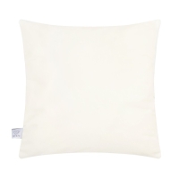 Наволочка декоративная Этель &laquo;Tropics&raquo;, 40х40 см, 100 п/э, велюр