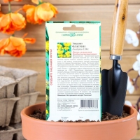 Семена комнатных цветов Эвкалипт "Флагман", ц/п, 0,05 г Семена комнатных цветов Эвкалипт "Флагман", ц/п, 0,05 г