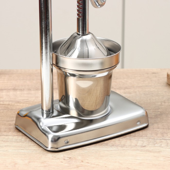 Соковыжималка механическая Доляна Fruits, 20&times;14,5&times;37 см