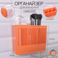 Органайзер для хранения &laquo;Classic&raquo;, навесной, 3 секции, с клеевой основой, 18,5 &times; 14,3 &times; 7,5 см, цвет МИКС