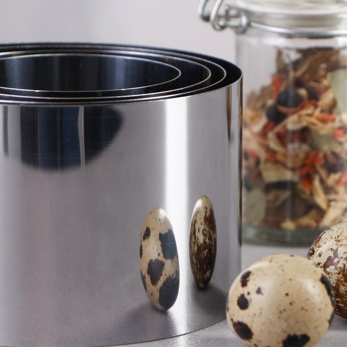 Набор форм для выпечки и выкладки &laquo;Круг&raquo;, d-10, h-6,6 см, 4 шт