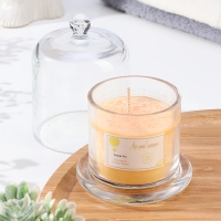 Свеча ароматическая в банке "Dome", лимон Свеча ароматическая в банке "Dome", лимон