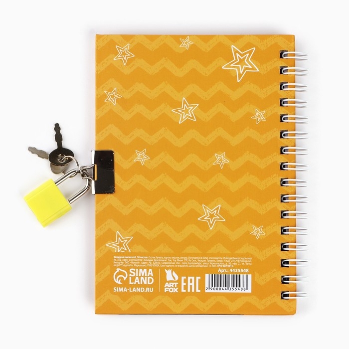 Записная книжка на замочке &laquo;Енотик&raquo;, А6, 50 листов .