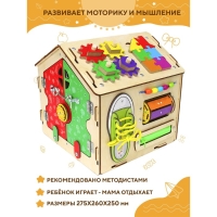 Бизидом &laquo;Умняша&raquo;