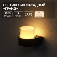 Светильник фасадный &laquo;Гранд&raquo;, FSD-033, 5 Вт, 3000К, IP65, 220 В, пластик, черный