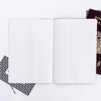 Обложка на паспорт &laquo; Это мой паспорт&raquo;, ПВХ