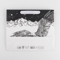 Пакет подарочный ламинированный горизонтальный, упаковка, &laquo;Орёл&raquo;, M 25.5 х 30 х 9 см