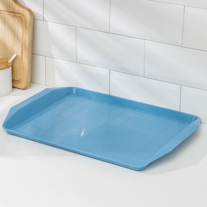 Поднос &laquo;Дональд&raquo;, 43&times;30 см, цвет МИКС