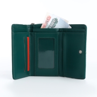 Кошелёк женский на кнопке, цвет зелёный Кошелёк женский на кнопке, цвет зелёный