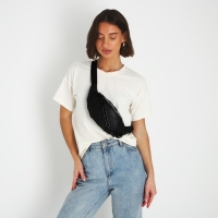 Поясная сумка на молнии, цвет чёрный Поясная сумка на молнии, цвет чёрный