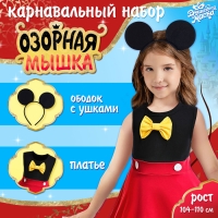 Карнавальный набор &laquo;Озорная мышка&raquo;, рост 104&ndash;110 см