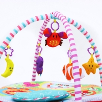 Развивающий коврик с дугами &laquo;Ежик на прогулке&raquo;, 70x70 см, Крошка Я