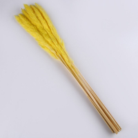 Сухоцвет &laquo;Камыш&raquo; набор 15 шт, цвет оранжевый