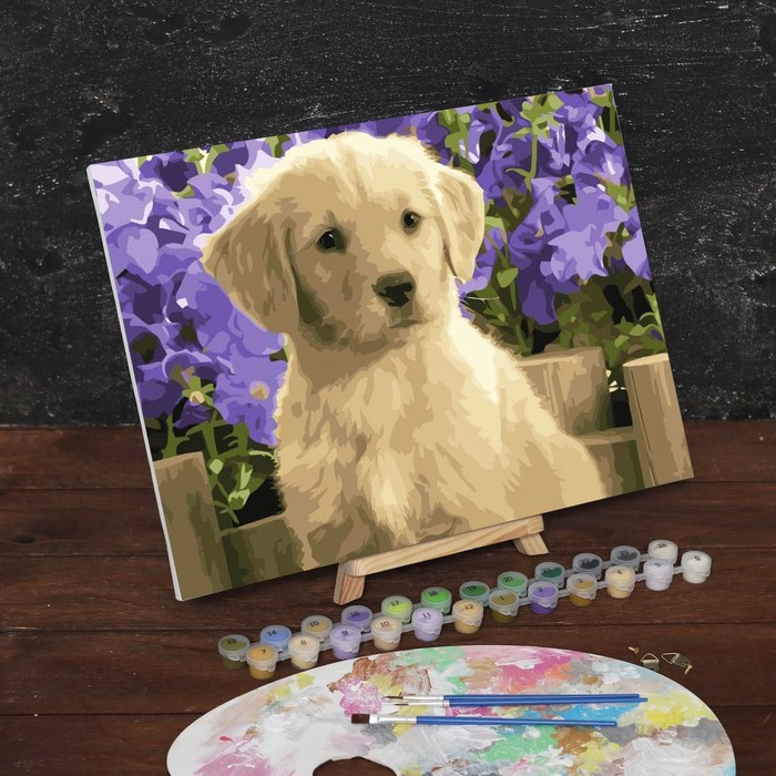 Картина по номерам на холсте с подрамником &laquo;Щенок лабрадора&raquo;, 40х30 см