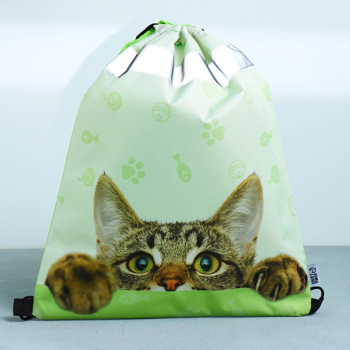 Мешок для обуви со светоотражающим элементом &laquo;Забавный котёнок&raquo; 30 х 40 см