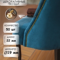 Гвозди ТУНДРА, декоративные, обивочные, 19х22 мм, золото, фасовка 50 шт Гвозди ТУНДРА, декоративные, обивочные, 19х22 мм, золото, фасовка 50 шт