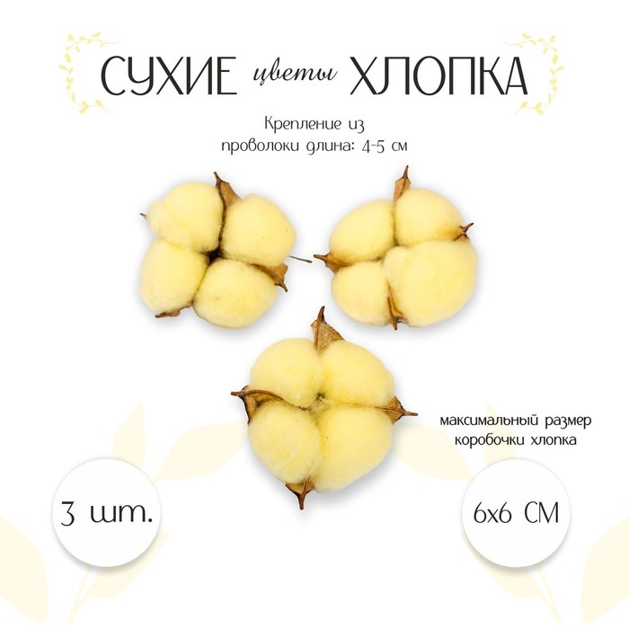 Сухие цветы хлопка, набор 3 шт., размер 1 шт. 6 &times; 6 см, цвет жёлтый