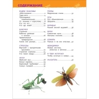 Энциклопедия для детского сада &laquo;Насекомые&raquo;