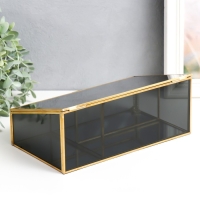 Шкатулка стекло с металлическим каркасом "Затемнённая" золото 10х14,5х25 см Шкатулка стекло с металлическим каркасом "Затемнённая" золото 10х14,5х25 см