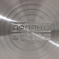 Чайник со свистком из нержавеющей стали Доляна &laquo;Скоттиш&raquo;, 2,8 л