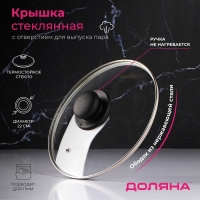 Крышка стеклянная для сковороды и кастрюли &laquo;Доляна&raquo;, d=22 см, нержавеющий обод, пластиковая ручка